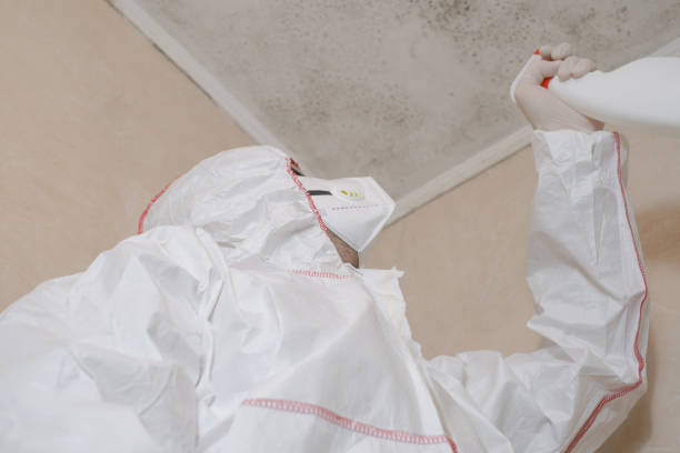 Best HVAC Mold Remediation in Moroni, UT